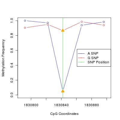 Allele Specific Methylation Frequency Diagram for chr11 1830842 SNP.