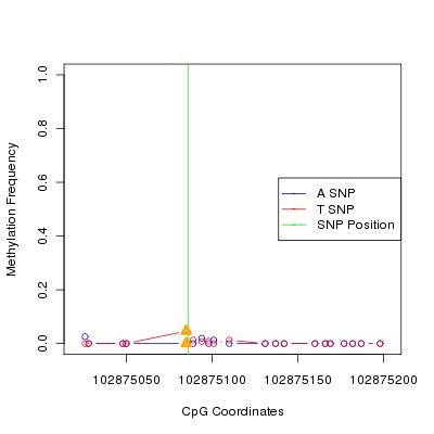 Allele Specific Methylation Frequency Diagram for chr12 102875086 SNP.