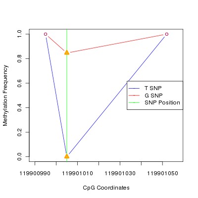 Allele Specific Methylation Frequency Diagram for chr12 119901005 SNP.