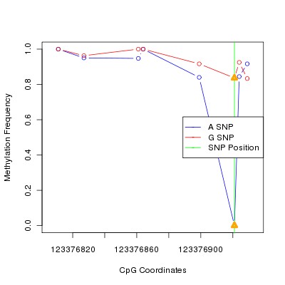 Allele Specific Methylation Frequency Diagram for chr12 123376921 SNP.