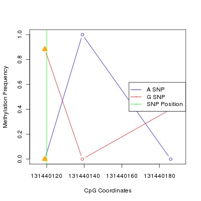 Allele Specific Methylation Frequency Diagram for chr12 131440120 SNP.