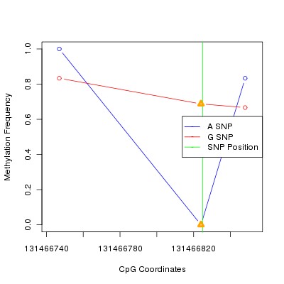 Allele Specific Methylation Frequency Diagram for chr12 131466825 SNP.