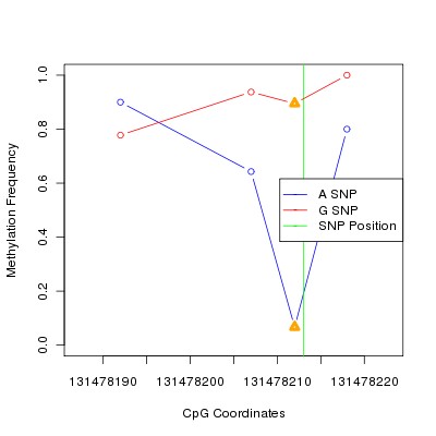 Allele Specific Methylation Frequency Diagram for chr12 131478213 SNP.