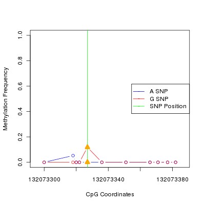 Allele Specific Methylation Frequency Diagram for chr12 132073327 SNP.