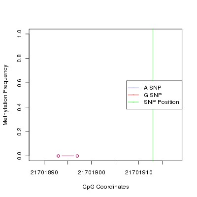 Allele Specific Methylation Frequency Diagram for chr12 21701913 SNP.