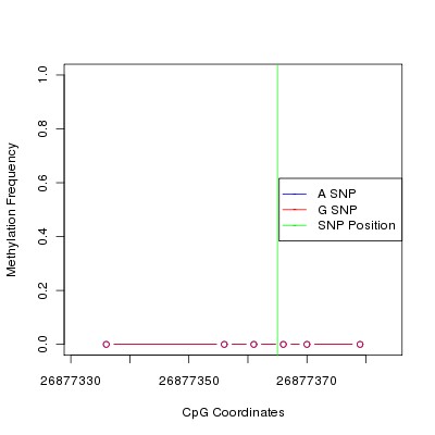 Allele Specific Methylation Frequency Diagram for chr12 26877365 SNP.