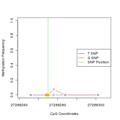 Allele Specific Methylation Frequency Diagram for chr12 27288275 SNP.
