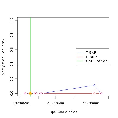 Allele Specific Methylation Frequency Diagram for chr12 43730531 SNP.