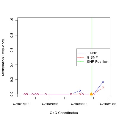Allele Specific Methylation Frequency Diagram for chr12 47362078 SNP.