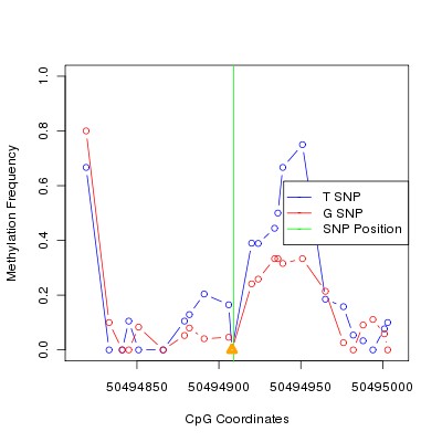 Allele Specific Methylation Frequency Diagram for chr12 50494909 SNP.