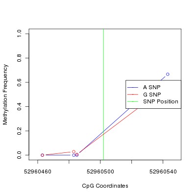 Allele Specific Methylation Frequency Diagram for chr12 52960502 SNP.