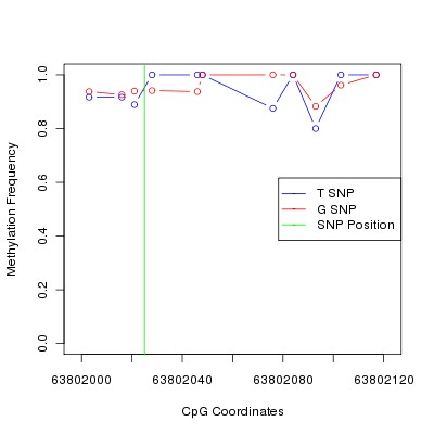 Allele Specific Methylation Frequency Diagram for chr12 63802025 SNP.
