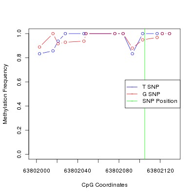 Allele Specific Methylation Frequency Diagram for chr12 63802105 SNP.