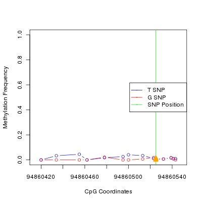 Allele Specific Methylation Frequency Diagram for chr12 94860525 SNP.