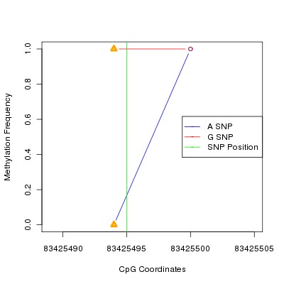 Allele Specific Methylation Frequency Diagram for chr16 83425495 SNP.