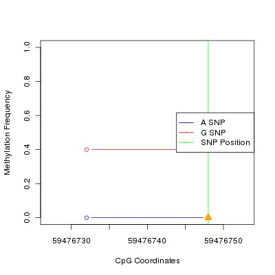 Allele Specific Methylation Frequency Diagram for chr19 59476748 SNP.