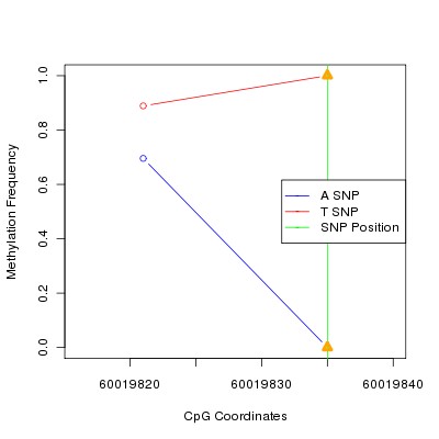 Allele Specific Methylation Frequency Diagram for chr19 60019835 SNP.