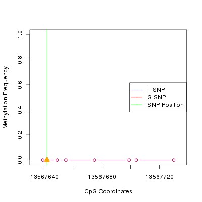 Allele Specific Methylation Frequency Diagram for chr20 13567642 SNP.