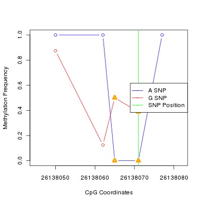 Allele Specific Methylation Frequency Diagram for chr20 26138071 SNP.
