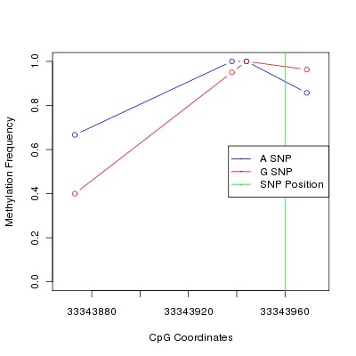 Allele Specific Methylation Frequency Diagram for chr20 33343960 SNP.