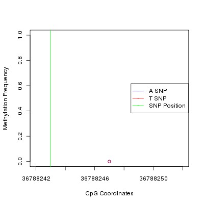 Allele Specific Methylation Frequency Diagram for chr20 36788243 SNP.