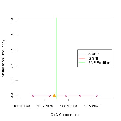 Allele Specific Methylation Frequency Diagram for chr20 42272875 SNP.