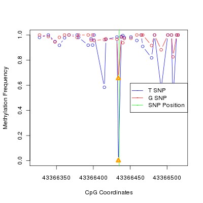 Allele Specific Methylation Frequency Diagram for chr20 43366435 SNP.