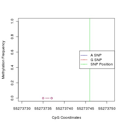 Allele Specific Methylation Frequency Diagram for chr20 55273746 SNP.