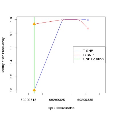 Allele Specific Methylation Frequency Diagram for chr20 60209317 SNP.