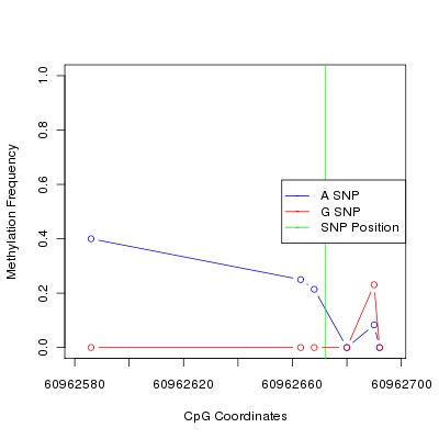 Allele Specific Methylation Frequency Diagram for chr20 60962672 SNP.