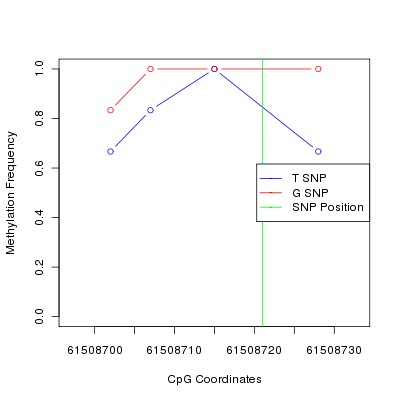 Allele Specific Methylation Frequency Diagram for chr20 61508721 SNP.