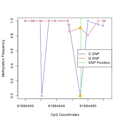 Allele Specific Methylation Frequency Diagram for chr20 61964471 SNP.