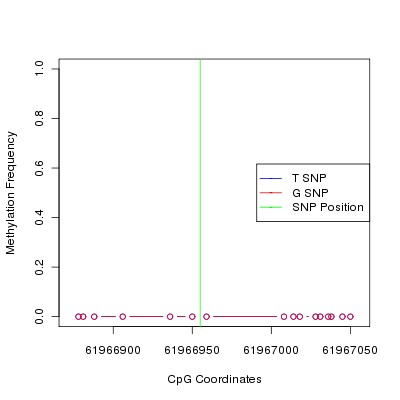 Allele Specific Methylation Frequency Diagram for chr20 61966955 SNP.