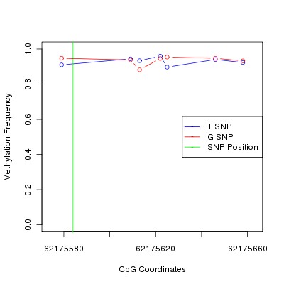 Allele Specific Methylation Frequency Diagram for chr20 62175584 SNP.