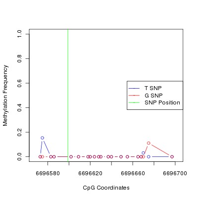 Allele Specific Methylation Frequency Diagram for chr20 6696599 SNP.