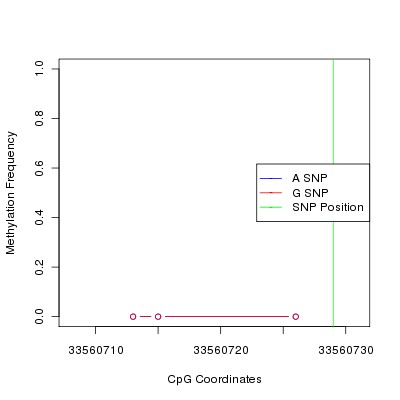 Allele Specific Methylation Frequency Diagram for chr21 33560729 SNP.