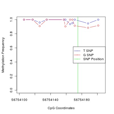 Allele Specific Methylation Frequency Diagram for chr5 56754175 SNP.
