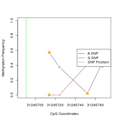 Allele Specific Methylation Frequency Diagram for chr6 31245691 SNP.