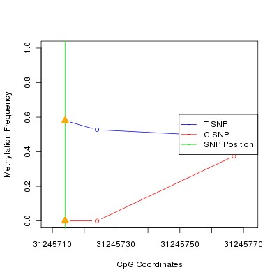 Allele Specific Methylation Frequency Diagram for chr6 31245714 SNP.