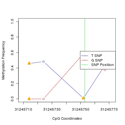 Allele Specific Methylation Frequency Diagram for chr6 31245753 SNP.