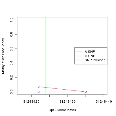 Allele Specific Methylation Frequency Diagram for chr6 31248424 SNP.