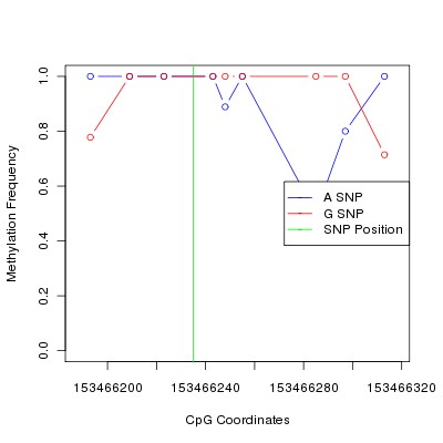Allele Specific Methylation Frequency Diagram for chrX 153466235 SNP.