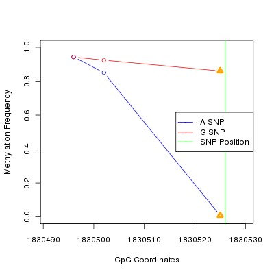 Allele Specific Methylation Frequency Diagram for chr11 1830526 SNP.