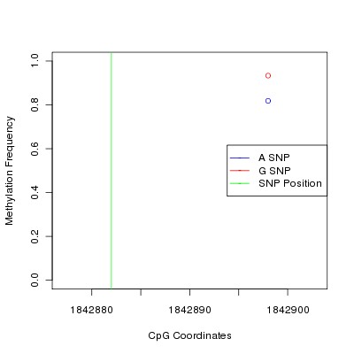 Allele Specific Methylation Frequency Diagram for chr11 1842882 SNP.