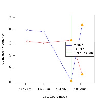 Allele Specific Methylation Frequency Diagram for chr11 1847895 SNP.