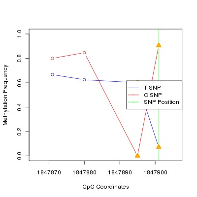 Allele Specific Methylation Frequency Diagram for chr11 1847901 SNP.