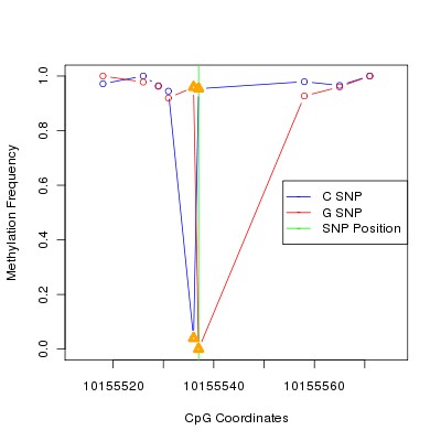 Allele Specific Methylation Frequency Diagram for chr12 10155537 SNP.