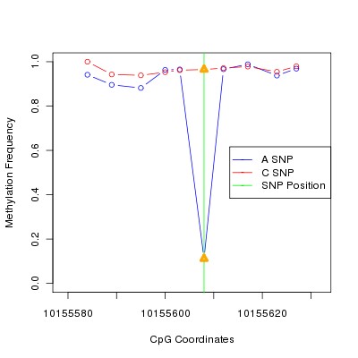 Allele Specific Methylation Frequency Diagram for chr12 10155608 SNP.