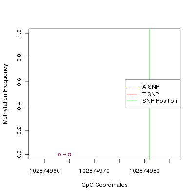 Allele Specific Methylation Frequency Diagram for chr12 102874981 SNP.