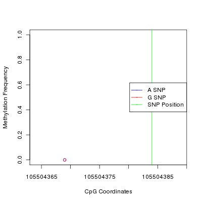 Allele Specific Methylation Frequency Diagram for chr12 105504384 SNP.